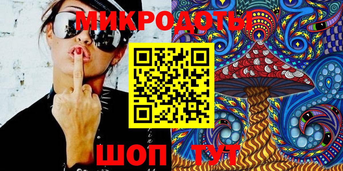 Псилоцибиновые грибы Psilocybe Усть-Джегута
